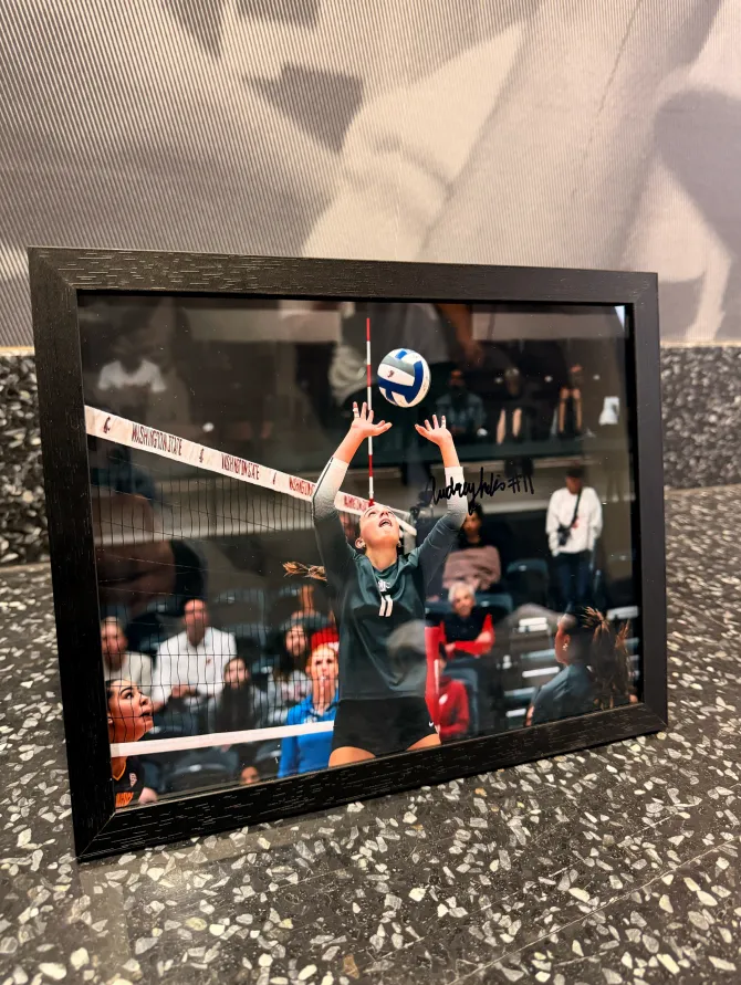 Volleyball Signed Photo - Audrey Hollis